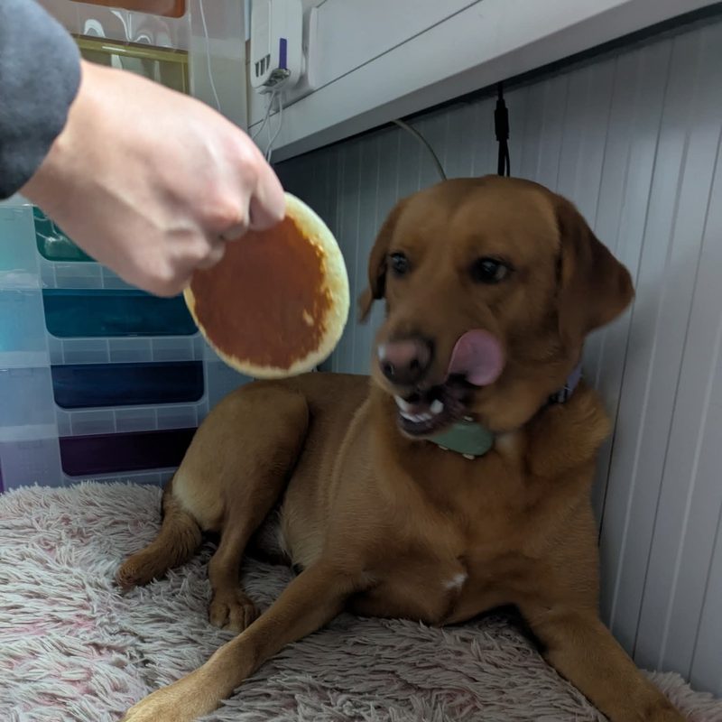 Sasha, our Head of Security